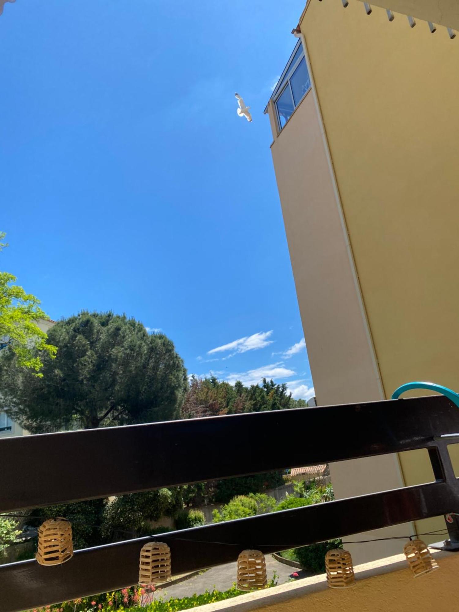 Studio Cabine,4 Personnes ,Renove,Au Calme,200 M De La Plage,Parking Prive Sete Bagian luar foto